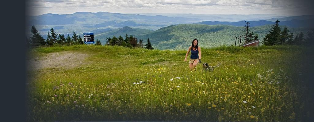 Goldilocks Cabin Stowe Luaran gambar