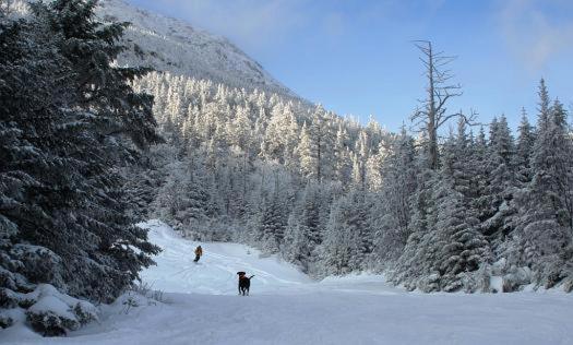 Goldilocks Cabin Stowe Luaran gambar